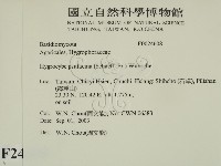 登錄號:F0024608藏品圖，第2張