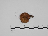 登錄號:F0024608藏品圖，第1張