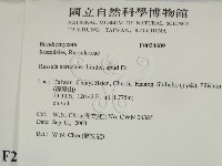 登錄號:F0024609藏品圖，第2張