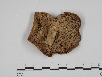 登錄號:F0024609藏品圖，第3張