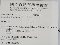 紅菇屬藏品圖，第2張