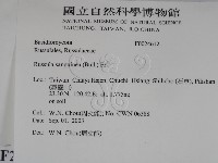 登錄號:F0024612藏品圖，第2張