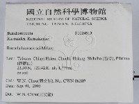 登錄號:F0024613藏品圖，第2張