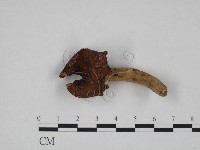 登錄號:F0024613藏品圖，第3張