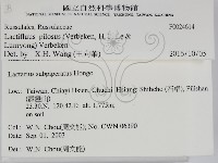 登錄號:F0024614藏品圖，第2張