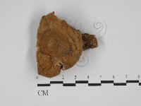 登錄號:F0024614藏品圖，第1張