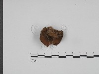 登錄號:F0024615藏品圖，第3張