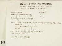 登錄號:F0024617藏品圖，第2張