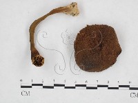 登錄號:F0024617藏品圖，第1張