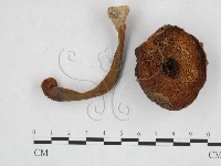 登錄號:F0024617藏品圖，第3張