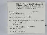 登錄號:F0024618藏品圖，第2張