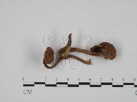 登錄號:F0024618藏品圖，第3張