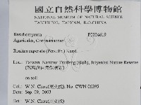 登錄號:F0024619藏品圖，第2張