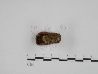 登錄號:F0024619藏品圖，第3張