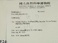 乳菇屬藏品圖，第2張