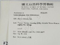 登錄號:F0024621藏品圖，第2張