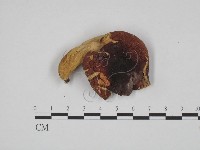 登錄號:F0024622藏品圖，第1張