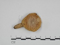 登錄號:F0024623藏品圖，第1張