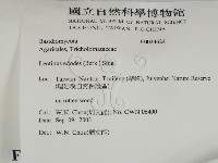 登錄號:F0024624藏品圖，第2張