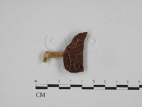 登錄號:F0024624藏品圖，第1張