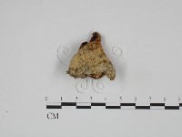 登錄號:F0024627藏品圖，第1張