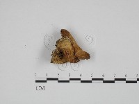 登錄號:F0024627藏品圖，第3張