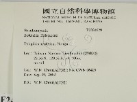 登錄號:F0024629藏品圖，第2張