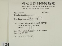 登錄號:F0024630藏品圖，第2張