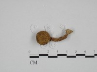 登錄號:F0024630藏品圖，第1張