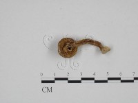 登錄號:F0024630藏品圖，第3張