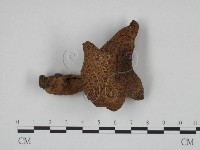 登錄號:F0024631藏品圖，第1張