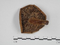 登錄號:F0024632藏品圖，第1張