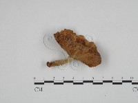 登錄號:F0024633藏品圖，第1張