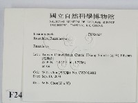 紅菇屬藏品圖，第2張