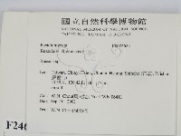 紅菇屬藏品圖，第2張