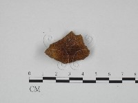 登錄號:F0024636藏品圖，第1張