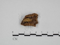 登錄號:F0024636藏品圖，第3張