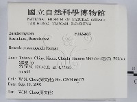 登錄號:F0024637藏品圖，第2張
