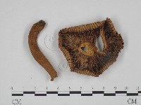 登錄號:F0024638藏品圖，第1張
