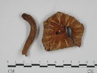 登錄號:F0024638藏品圖，第3張