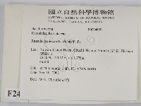 登錄號:F0024639藏品圖，第2張
