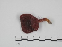 登錄號:F0024640藏品圖，第1張