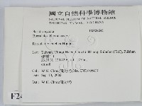 登錄號:F0024641藏品圖，第2張