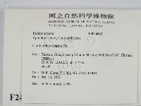 登錄號:F0024642藏品圖，第2張