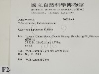 登錄號:F0024644藏品圖，第2張