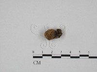 登錄號:F0024644藏品圖，第3張