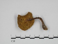 登錄號:F0024648藏品圖，第3張