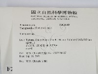 革菌屬藏品圖，第2張