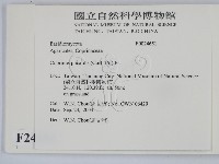 登錄號:F0024651藏品圖，第2張