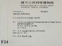 登錄號:F0024652藏品圖，第2張